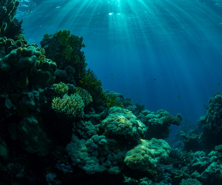 sunset-reef