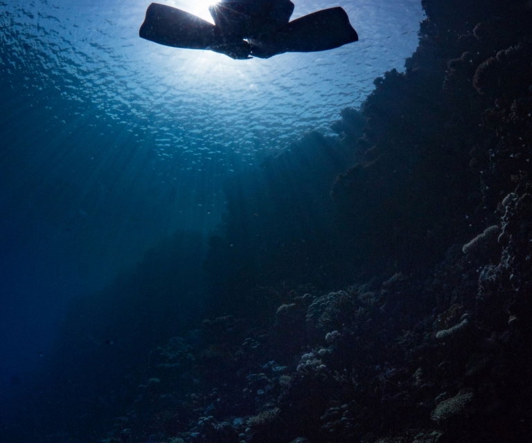 Zen-scuba